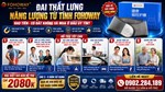 Gía Bán Đai Thắt Lưng Năng Lượng Từ Tính Fohoway Bao Tiền 